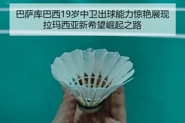 ba-sa-ku-ba-xi-sui-zhong-wei-chu-qiu-neng-li-jing-yan-zhan-xian-la-ma-xi-ya-xin-xi-wang-jue-qi-zhi-lu-2-388.jpg